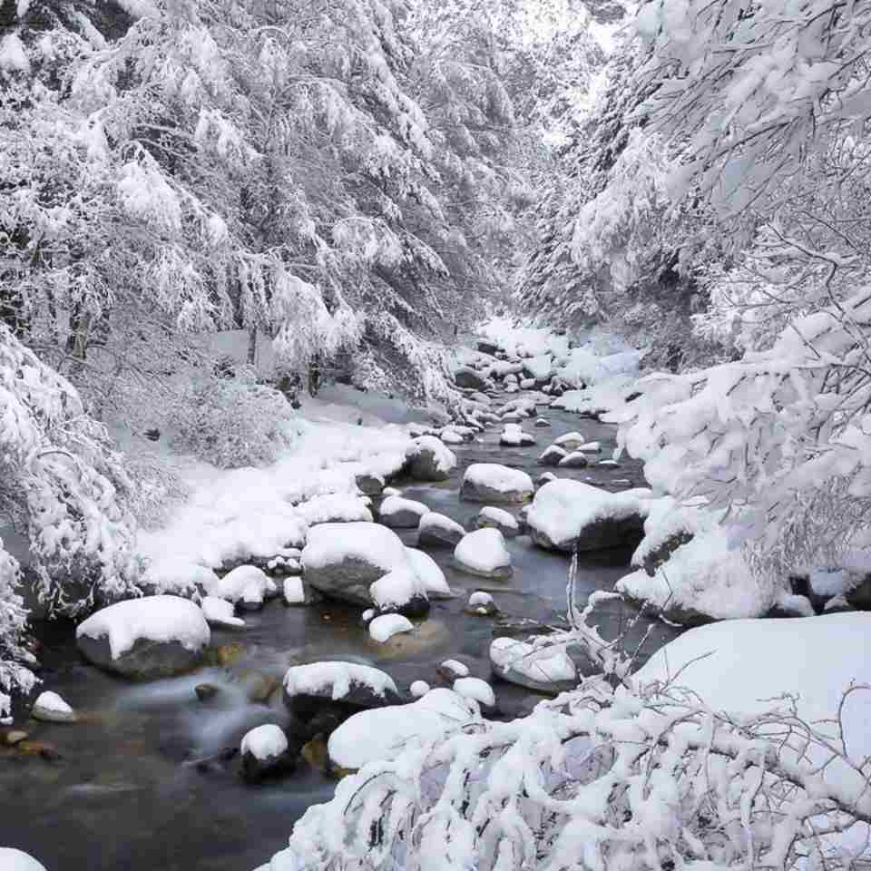 آهنگ جدید تو یکی بخوای نخوای جون منی